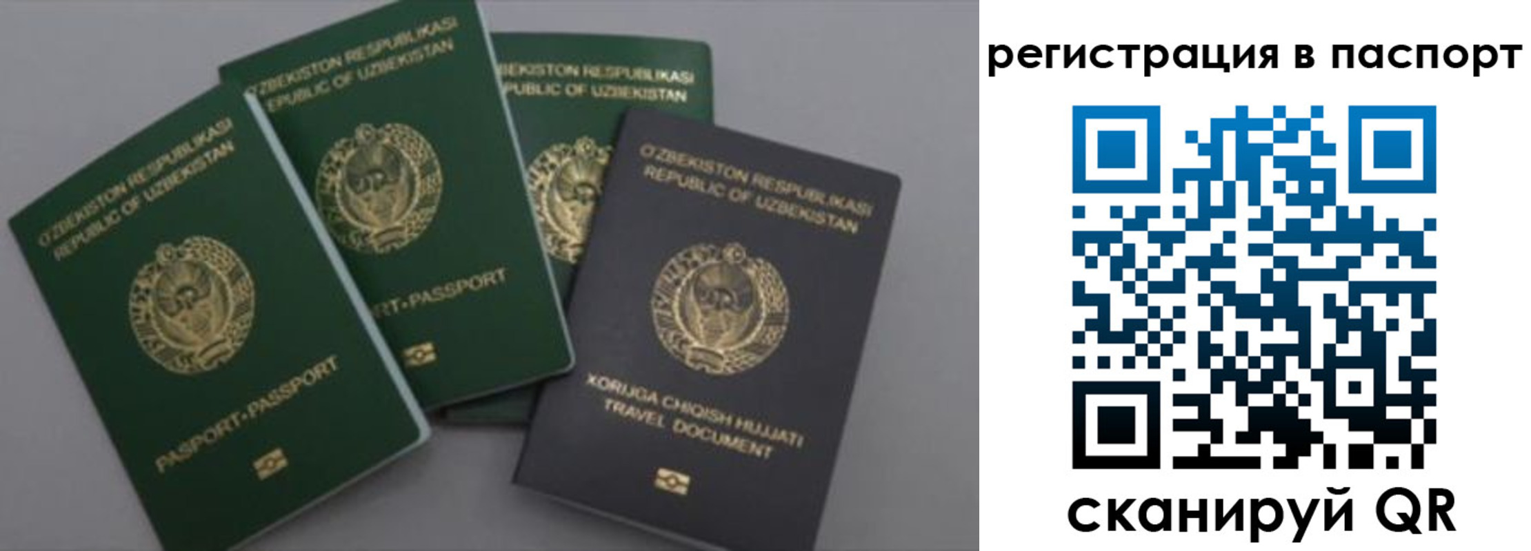 прописка от собственника в Тогучине